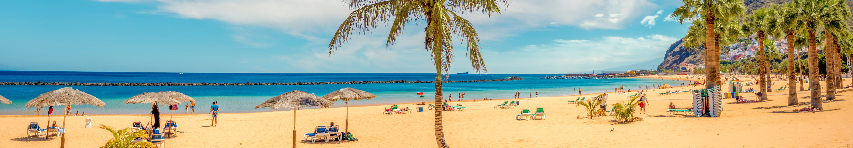 Panoramablick auf den goldgelben Sandstrand Playa de Las Teresitas auf Teneriffa, Spanien, mit Palmen, Sonnenschirmen, Liegest&uuml;hlen, t&uuml;rkisblauem Meer und Bergen im Hintergrund.