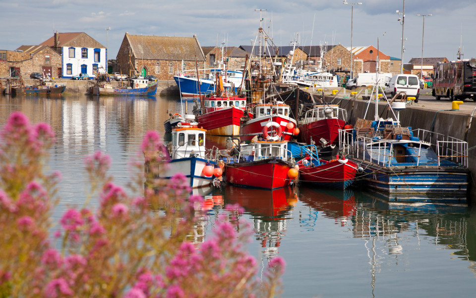 Malerischer Hafen in Howth nahe Dublin 